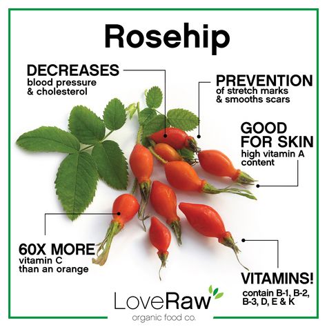 #RoseHip #Superfoods Rosehips Benefits, Rosehip Uses, Benefits Of Rosehips, How To Make Rosehip Oil, Rosehip Seed Oil Benefits, Herbal Health, Rosehip Seed Oil, Super Food, Nutrition Guide