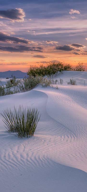 Alamogordo New Mexico, White Sand Dunes, White Sands National Monument, Vanilla Sky, Desert Photography, Places In America, Land Of Enchantment, Secret Places, National Monuments