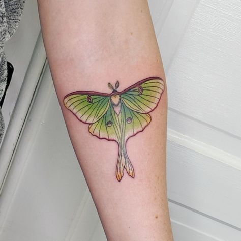 No background. Lunar Moth Tattoo, Luna Moth Tattoo, Moth Tattoo Design, Lunar Moth, Key Tattoos, Bug Tattoo, Sweet Tattoos, Moth Tattoo, Gaming Tattoo