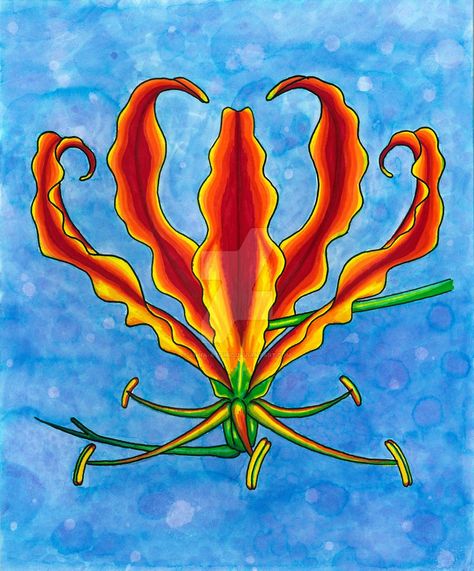 Watercolor Outline, Gloriosa Superba, Queen Wallpaper Crown, Drawing Flames, Lily Drawing, Glory Lily, Flame Lily, Fire Lily, Lilies Drawing