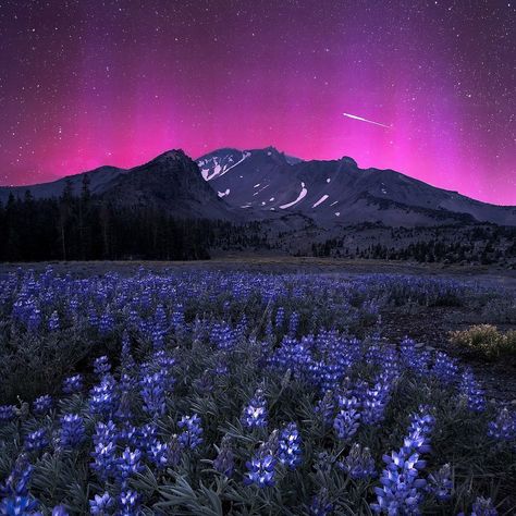 The Perseid meteor shower with an Aurora glow over Mount Shasta. 📸: @matthayniephotography Perseid Meteor Shower, Mount Shasta, Meteor Shower, Shower