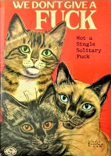 Funny Book Titles, Funny Book Covers, Book Parody, Bizarre Books, Funny Books, Golden Books, Book Titles, Retro Humor, Cat Posters