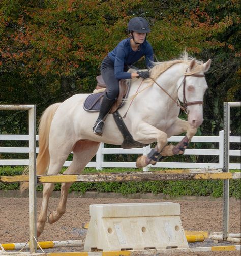 Cremello Horse Jumping, Perlino Horse, Albino Horse, Cute Horse Riding Outfits, Coffee Keychain, Jumping Horses, Show Jumping Horses, Palomino Horse, Horse Camp