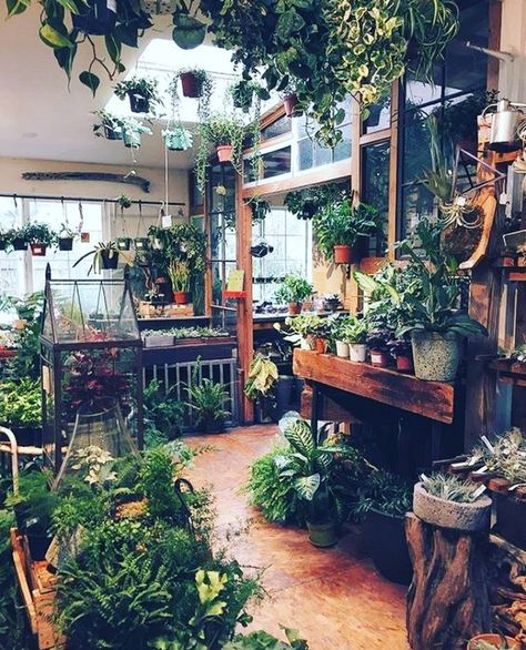 Plant Shops, Cheap Plants, Deco Jungle, Wooden Greenhouses, Greenhouse Plans, Plant Shop, Room With Plants, Dream Room Inspiration, Garden Shop