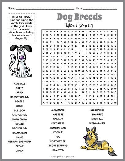 Cat Word Search, Dog Word Search, Large Print Word Searches For Seniors, Summer Word Search Free Printable, Large Print Word Search Printable, Dog Words, Emirates Airline, Word Search Printables, Creative Kids Crafts