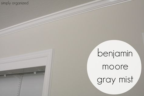 Benjamin Moore Gray Mist, Interior Paint Color, Inexpensive Living Room, Simply Organized, Benjamin Moore Gray, Gray Walls, Interior Painting, Color Palate, Dark Interiors