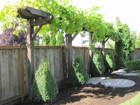 arbor ideas wooden construction garden fence privacy protection Orchard Ideas, Vine Fence, Backyard Orchard, Garden Trellis Designs, Grape Vine Trellis, Grape Trellis, Grape Arbor, Vine Trellis, Arbors Trellis