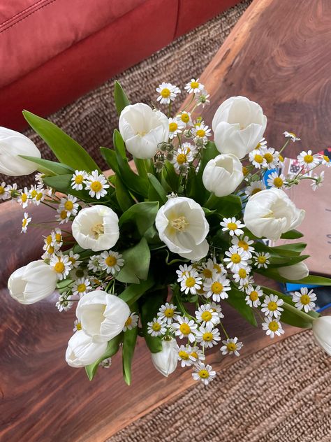 Tulips and daisies looking cute