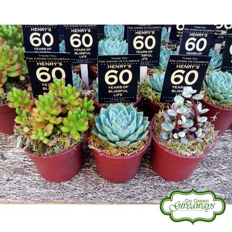 Succulents Giveaways for Henry's 60th Birthday - Bacolod Philippines 60th Birthday Giveaways Ideas, Bacolod Philippines, 60th Party Favors, Giveaways Ideas, 40 Birthday, Birthday Giveaways, Bacolod, 60th Birthday Party, Party Stuff