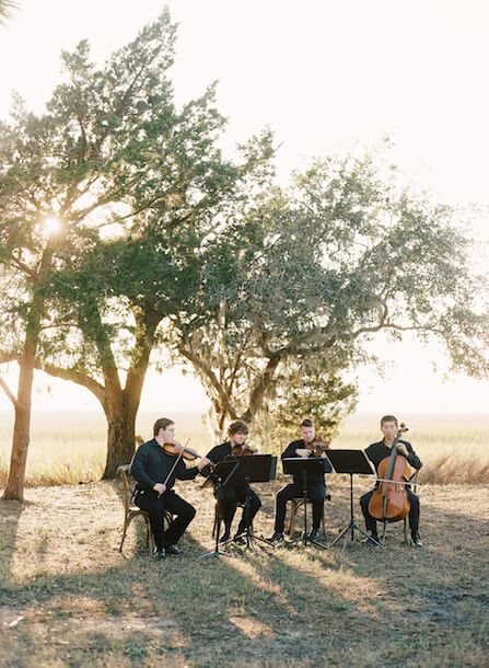 Live Music Wedding Ceremony, Wedding String Quartet, Violinist Wedding Ceremony, Fall Wedding Colors Pink, Wedding Quartet, Wedding Violinist, 50 Person Wedding, String Quartet Wedding, Violinist Photography