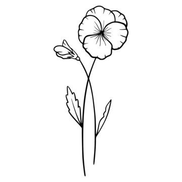 Violet Flower Line Drawing, Violet Flower Line Art, Violet Line Art, Flower Line Drawings, Violet Flower, Image Types, Maple Leaf Tattoo, Line Drawing, Line Art