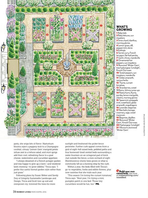 Horticulture Landscape Design, French Garden Layout Plan, Food Garden Layout Backyards, Front Yard Veg Garden, Kitchen Garden Plans Layout, Vegetable And Flower Garden Ideas, Flower Garden In Raised Beds, Zone 8b Garden Layout, Botanical Garden Layout