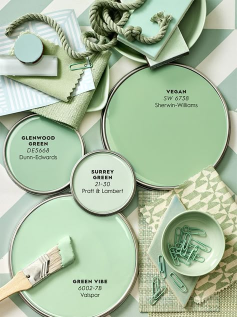 Mint Green Furniture Bedroom, Mint Green Paint Walls, Mint Color Palette, Mint Green Paint, Mint Furniture, Mint Green Paints, Shabby Chic Green, Vintage Mint Green, House Color Palettes