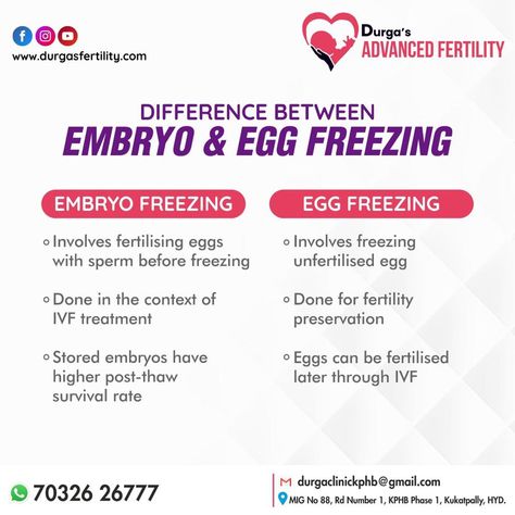 Embryo freezing and egg freezing are two distinct paths to preserve fertility, and understanding the differences can make all the difference. 🌟 To Know More, consult Dr Sree Durga call 70326 26777 or visit www.durgasfertility.com #DrSreeDurga #Durgasfertility #Fertilityawareness #fertilityjourney #Eggfreezing #Embryofreezing Egg Freezing Fertility, Egg Freezing, Freezing Eggs, Fertility Awareness, Foods To Avoid, Fertility, Egg, Frozen, Canning