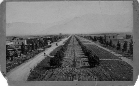 Upland Photograph Street Scenes; looking north on Euclid Avenue from Ontario / Wesner's San Bernardino Upland California, Ontario California, Los Angeles Photography, Early Photos, San Bernardino County, California History, Vintage Los Angeles, Rancho Cucamonga, Vintage California