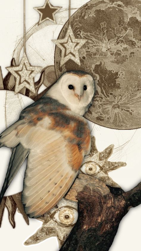 Barn Owl Barn Owl Aesthetic, Dark Cottagecore Wallpaper, Owl Aesthetic, Barn Owl Art, Cottagecore Wallpaper, Owl Wallpaper, Owl Pictures, Pretty Animals, Owl Art