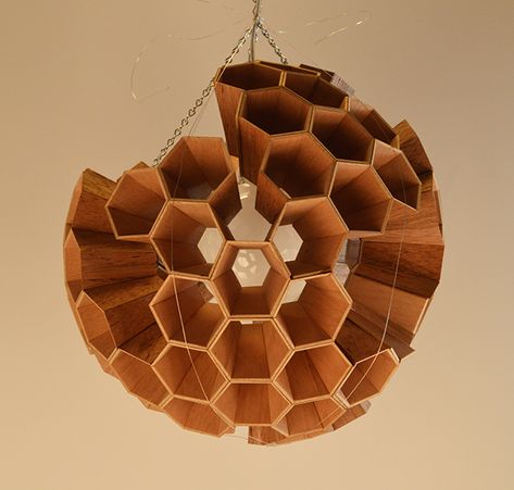 Biomimicry Lamp, Biomimicry Furniture, Hexagon Furniture, Hexagon Lamp, Hexagon Lighting, Wood Lamp Design, Lighting Concepts, Found Object Art, Hanging Lamps