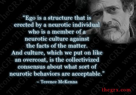 Terence McKenna Quotes | Flickr - Photo Sharing! Theory Quotes, Terence Mckenna, String Theory, Physics And Mathematics, Magical Life, Awakening Quotes, Outdoor Quotes, Wise Quotes, Thought Provoking