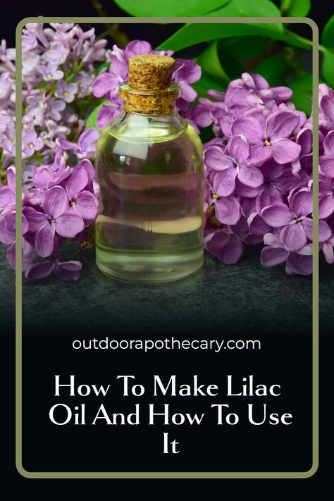 Learn how to make your own lilac oil with this simple guide. Perfect for beginners, this tutorial covers everything from picking the right lilacs to the infusion process. Enhance your natural beauty regimen today! #LilacOil #DIYSkincare #NaturalBeauty Lilac Oil Diy, Growing Herbs Inside, Lilac Oil, Herbs For Beginners, Growing Herbs In Pots, Herbs In Pots, Lilac Scent, Herbal Skincare, Herb Garden Ideas