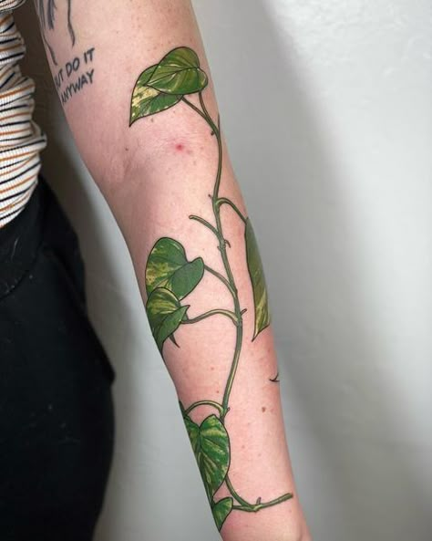 Color Plant Tattoo, Golden Pothos Tattoo, Pothos Vine Tattoo, Pothos Plant Tattoo, Pathos Tattoo, Pothos Tattoo, Tattoo Scar Cover, Scar Cover Up Tattoo, Scar Cover Tattoo