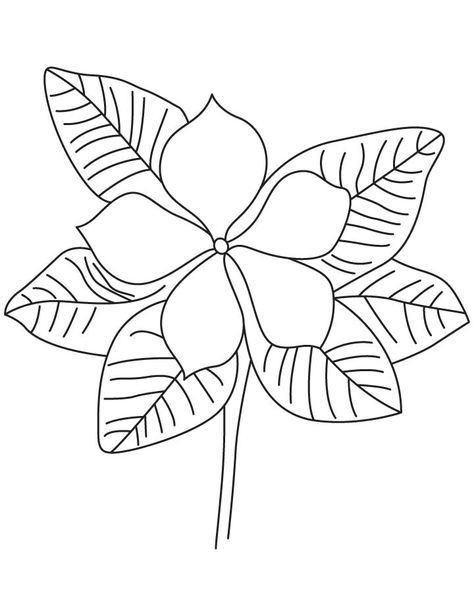 Purple periwinkle coloring page Periwinkle Drawing, Periwinkle Flower, Perrywinkle Flower, Periwinkle Drawing Flower, Periwinkle Embroidery, Periwinkle Art Paintings, White Periwinkle Flowers, Periwinkle Flower Painting, Periwinkle Flowers