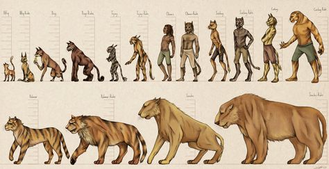 khajiit breeds Elder Scrolls 6, Tes Skyrim, Elder Scrolls Lore, Scrolls Game, Elder Scrolls Games, Elder Scrolls Art, Elder Scrolls Online, The Elder Scrolls, Fantasy Races