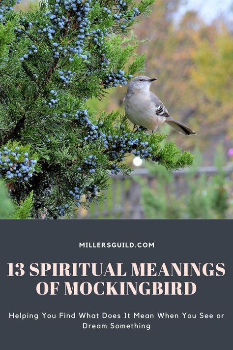 13 Spiritual Meanings of Mockingbird Mockingbird Tattoo Meaning, Mockingbird Meaning, Mockingbird Spiritual Meaning, Quotes To Kill A Mockingbird, How To Kill A Mockingbird, Mocking Bird Lyrics, Too Kill A Mockingbird, Mockingbird Tattoo, Bird Meaning