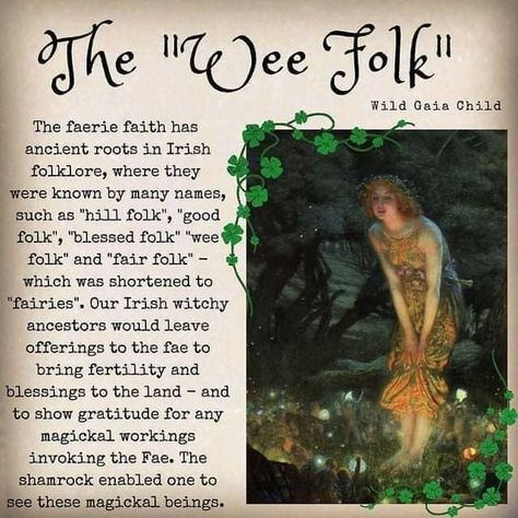 Irish Folk Magic, Irish Mythical Creatures, Fairies Facts, Fairy Mythology, Fairy Folklore, Fairies Mythology, Fae Magic, Mystical Creatures Mythology, Irish Fairy