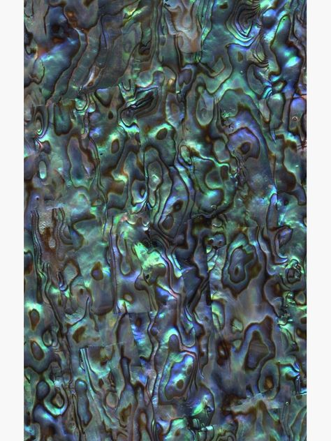 Abalone Shell Wallpaper, Abalone Shell Art, Abalone Wallpaper, Paua Shell Art, Ceramic Armor, Embroidery Photography, Shell Texture, Seashells Patterns, Mood Colors