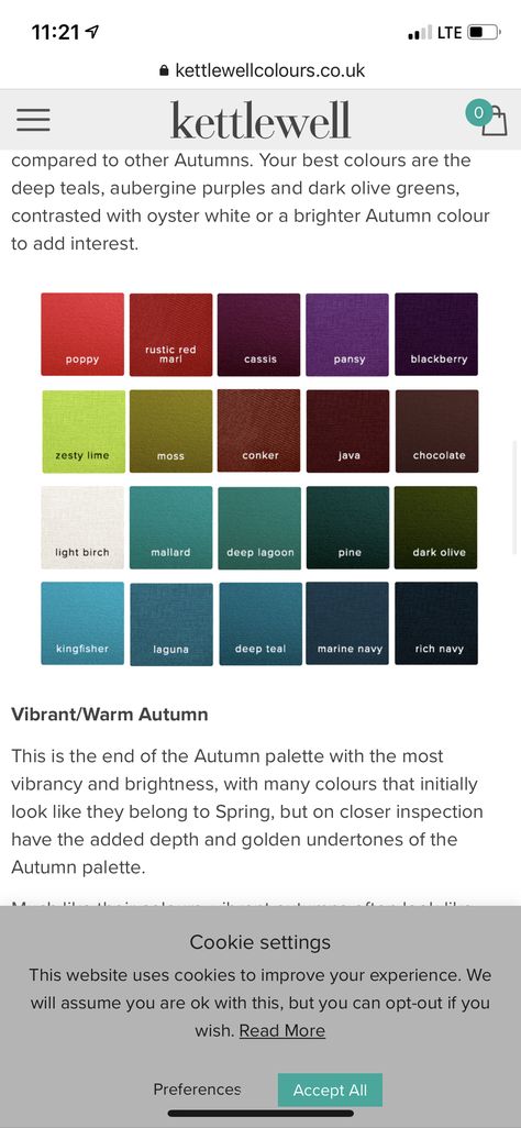 Hoc Blue Autumn, Blue Autumn Color Palette, Hoc Autumn, Autumn Deep, David Zyla, Blue Autumn, Autumn Palette, Romantic Fashion, Deep Autumn