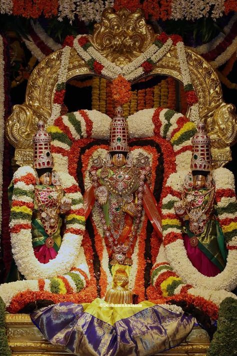 Malayappa Swamy, Lord Balaji Hd Wallpaper 4k, Hindu Statues Goddesses, Spiritual Pictures, Lord Murugan Wallpapers, Sai Baba Wallpapers, Lord Balaji, Happy Birthday Posters, Hindu Statues