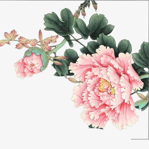 Peony Illustration, Painting Japanese, Japanese Flower Tattoo, Chinese Flower, Peony Art, Japan Painting, Sunflower Wall Art, Peony Painting, Tinta China