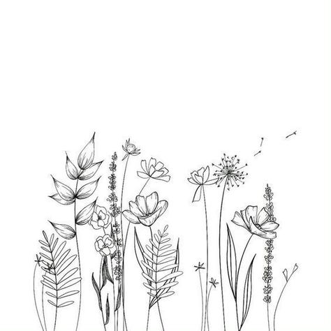 30 Simple Ways to Draw Flowers Ways To Draw Flowers, Draw Flowers, Line Drawing, To Draw, A Line, Plants, Flowers, White, Black