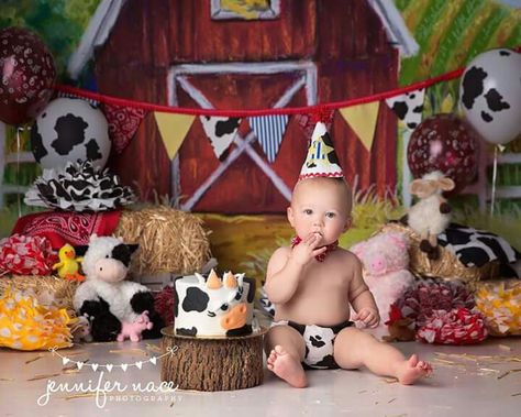 Farm Birthday Cake Baby Boy, Smash Cake Ideas, Birthday Party For Boys, Cake Baby Boy, Best Birthday Cake, Tractor Birthday Party, Barnyard Birthday Party, Tractor Party, Truck Cake