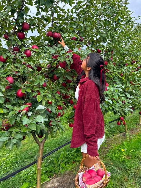 Fall outfits, fall inspo, fall aesthetic Apple Picking Photos, Lifestyle Posing, Apple Picking Outfit, Pumpkin Patch Pictures, Apple Farm, Farm Clothes, Fall Inspo, Fall Photoshoot, Apple Picking