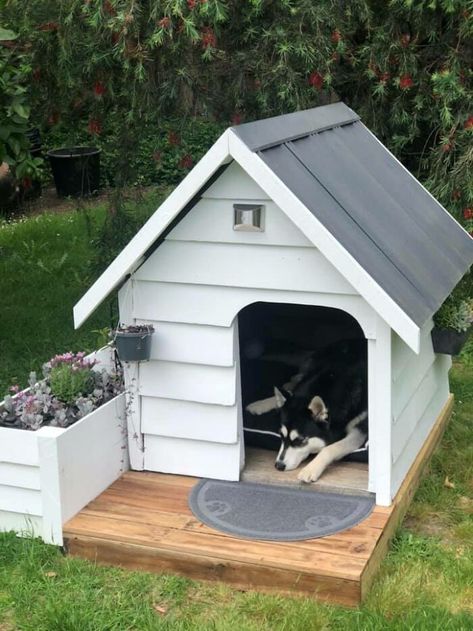 Wooden Dog House Indoor Diy, Air Conditioned Dog House Diy, Aesthetic Dog House, Dog House Plans Insulated, Dog House Diy Outdoor, Easy Dog House, Wood Dog House, Modern Dog Houses, Indoor Dog House