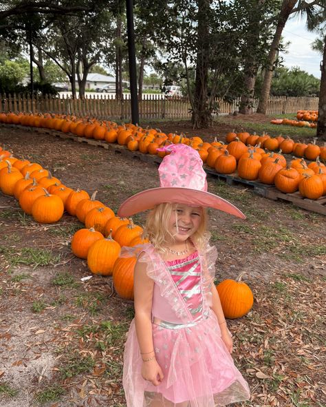 We checked out @tcsofpbg annual pumpkin patch today and it was adorable! The kids loved picking out a pumpkin to take home, and they also had baked goods and a candles made by an eighth grade student, definitely check this out and support a great preschool! #pumpkinpatch #pumpkins #fall #palmbeachgardens #palmbeachgardensflorida Palm Beach Gardens Florida, Eighth Grade, Palm Beach Gardens, A Pumpkin, Pumpkin Patch, Candle Making, The Kids, Baked Goods, Pumpkins