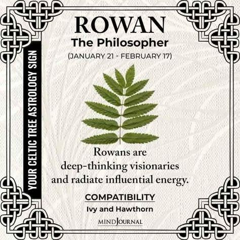 Rowan Tree Meaning, Rowan Name Sign, Irish Witchcraft, Celtic Tree Zodiac, Fun Symbols, Tree Zodiac, Celtic Spirituality, Ancient Zodiac, Celtic Tattoo For Women