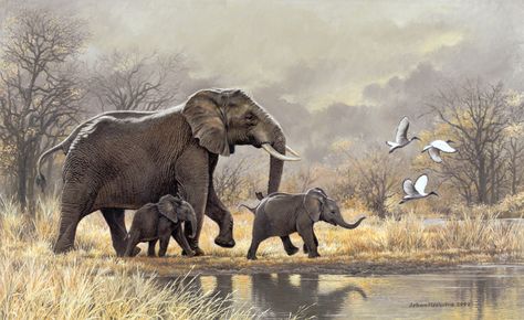 Johan Hoekstra Wildlife Art Collection ... Elephant Cross Stitch, Regnul Animal, Elephant Pictures, Afrique Art, Baby Elephants, Wildlife Paintings, Wildlife Artists, Elephant Family, Elephant Art