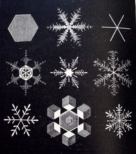 Ice Drawing, Crystal Illustration, Scientific Drawing, Snow Flake Tattoo, Snowflakes Drawing, Crystal Tattoo, Crystal Drawing, Ice Crystals, High Schools