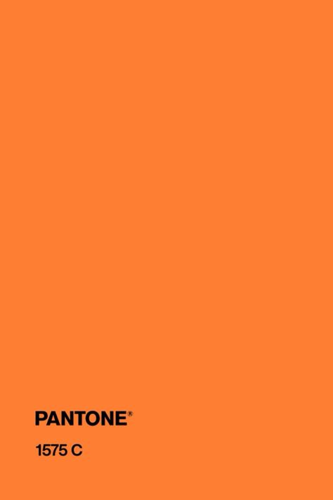 #pantone #orange #color #pantone1575c Pantone Rust Orange, Orange Color Pantone, Yellow Colour Pantone, Orange Pantone, Pantone Tcx Orange, Pantone Orange, Pantone Swatches, Sweet Sixteen Birthday Party Ideas, Pale Orange