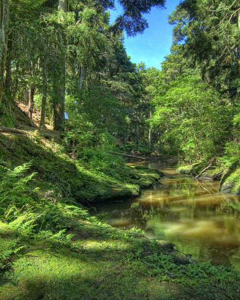 Te Aroha Summit Track | Hamilton - Waikato, New Zealand New Zealand Hamilton, Waikato New Zealand, Milford Track, Hamilton New Zealand, New Zealand Adventure, House Dream, Bay Of Plenty, New Zealand North, Dream Places