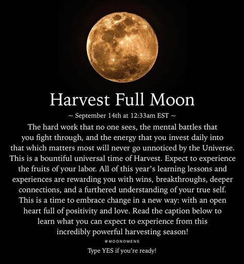 Read the article in @moonomens bio to learn about the energy around this Harvest Full Moon and what it means for you.... Harvest Full Moon, Moon Omens, Full Moon In Pisces, Full Moon In Aries, Moon In Aries, Negative To Positive, Moon Meaning, Changing Your Mindset, Grimoire Pages