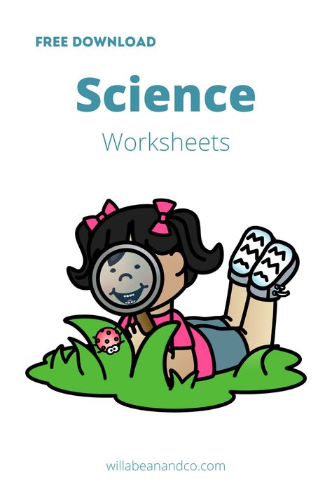 Looking for science worksheets for your preschoolers? Click here to download for FREE. #science #preschoolscience #scienceforkids #preschool #worksheets What Is A Scientist Preschool, Prek Science Worksheets, Science Coloring Sheets, Science Worksheets For Preschool, Science Kindergarten Worksheets, What Do Scientists Do, What Is A Scientist, Free Science Worksheets, Pre-k Science