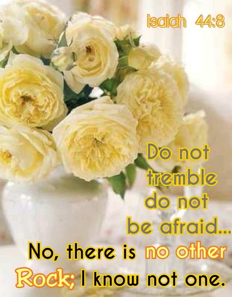 Isaiah 44:8 Yellow Wedding Colors, Cottage Roses, Yellow Cottage, Flower School, Yellow Wedding, Deco Floral, Rose Cottage, Jolie Photo, Mellow Yellow