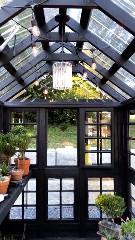 Greenhouse Lights, Greenhouse Lighting, Greenhouse Lighting Ideas, Greenhouse Black, Small Black Greenhouse, Greenhouse Dark Academia, Greenhouse Dark Aesthetic, Window Greenhouse, Abandoned Greenhouse Aesthetic Dark