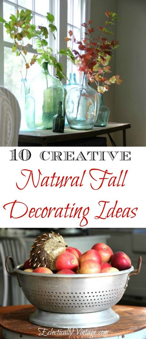 10 Best Natural Fall Decorating Ideas - and creative ways to display eclecticallyvintage.com Natural Decorating, Natural Fall Decor, Fall Decorating Ideas, Home Decor Catalogs, Autumn Decorating, Vintage Bottles, Coat Racks, Home Decor Online, Creative Home Decor