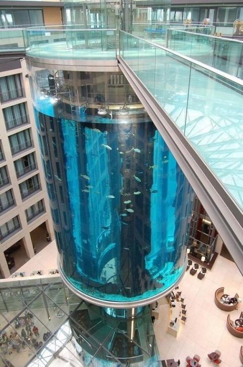 Aquarium Elevator In Berlin, Germany Glass Aquarium, Amazing Buildings, Krakow, Berlin Germany, Oh The Places Youll Go, Aquariums, Amazing Architecture, Places Around The World, Vacation Spots