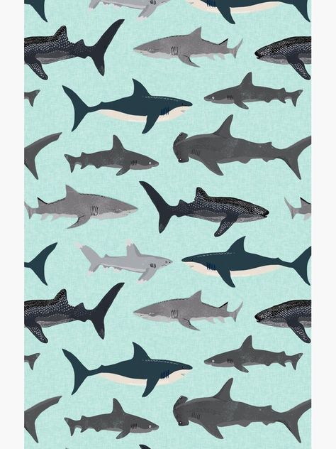 Sharks For Kids, Fish Ocean, Ocean Kids, White Whale, Andrea Lauren, Ocean Fishing, Kids Fabric, Baby Soft Toys, Sea Creature