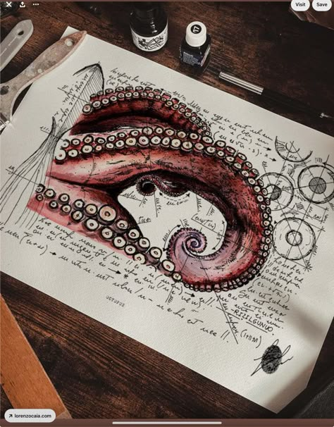 Ink And Watercolor Art, Anatomical Study, Octopus Drawing, Marine World, Construction Lines, Octopus Art, Ink And Watercolor, The Octopus, Arte Sketchbook